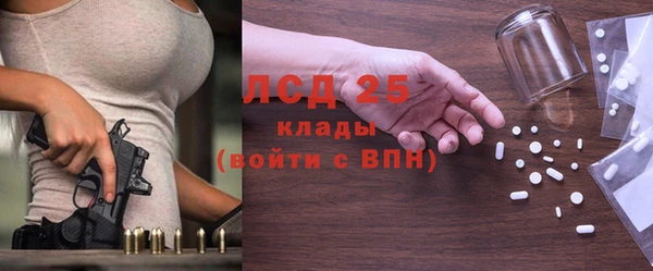 твердый Арсеньев