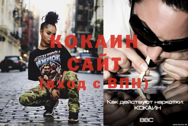 твердый Арсеньев
