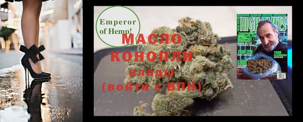 дмт Новозыбков